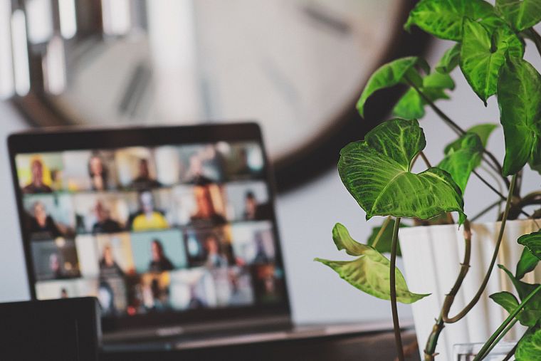 A laptop on a desk showing a grid of people in a video call, beside a houseplant